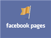 Add page role on facebook - FPlus